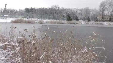Samara nehri ve Ukrayna 'nın karlı kış manzaraları.