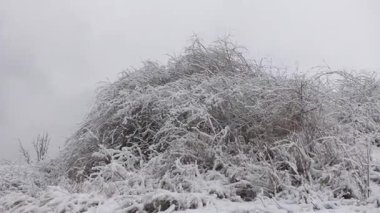 Samara nehri ve Ukrayna 'nın karlı kış manzaraları.