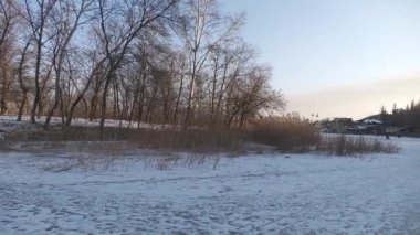 Samara nehri ve Ukrayna 'nın karlı kış manzaraları.