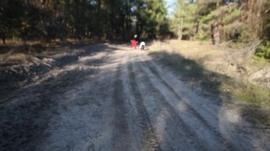 İlkbaharın başlarında aileler fotoğraf çekmek için bahar ormanlarında yürüyüşe çıktılar..