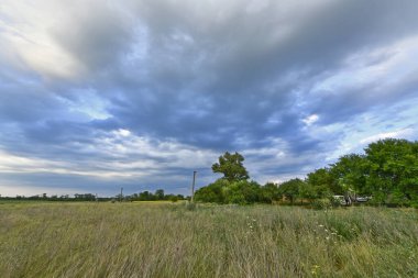 Yaz yağmurundan sonra güzel bir yaz manzarası, gün batımında şehir dışında, köyde. Ukrayna, Dnipropetrovsk bölgesi.