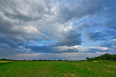 Yaz yağmurundan sonra güzel bir yaz manzarası, gün batımında şehir dışında, köyde. Ukrayna, Dnipropetrovsk bölgesi.