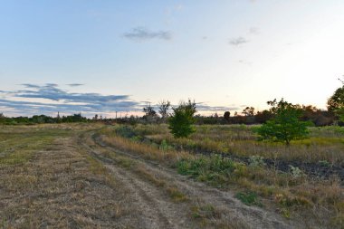 Günbatımında güzel orman manzaraları, Doğu Ukrayna, Novomoskovsk.