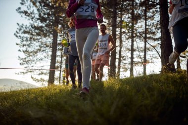 Güneşli bir günde ormanda maraton koşan atletlerin yakın çekimi. Doğa, maraton, sporcular