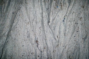 Makro yakından kumlu bir yüzeye bakıyor. Doku, yapı, arkaplan