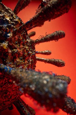Coronavirus salgınını kapat, Macro coronavirüs. COVID-19 virüsü