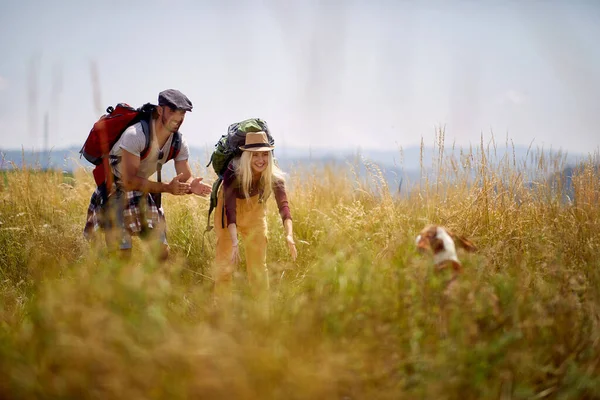 Junges Paar Beim Wandern Feld Kuscheln Mit Hund Natur Freien — Stockfoto
