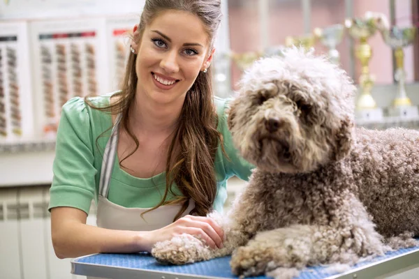 Glimlachende Vrouw Verzorgende Hond Bij Kapper Dog Wordt Geknipt Bij — Stockfoto
