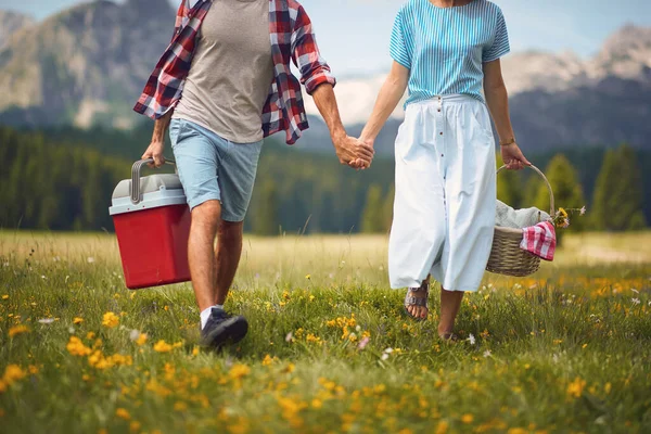情侣们手牵着手 带着野餐篮走在绿茵的草地上 爱情的概念 — 图库照片
