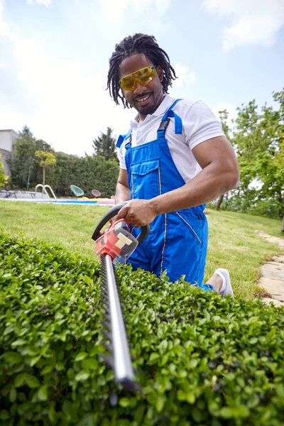 Man Fearlessly Wields Trimmer Meticulously Shapes Living Hedge Focused Determination — Stock Photo, Image