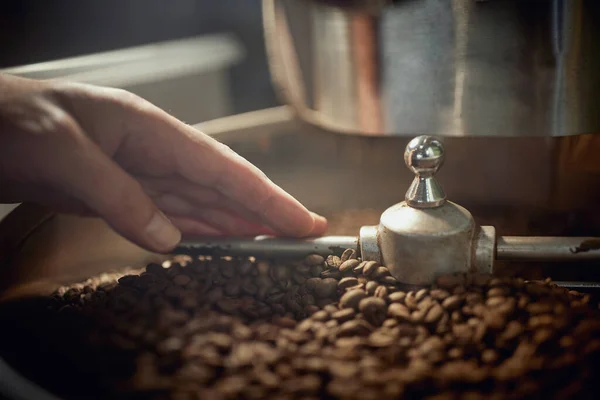 Detalhe Uma Mão Caucasiana Tocando Grãos Café Máquina Moderna Para — Fotografia de Stock