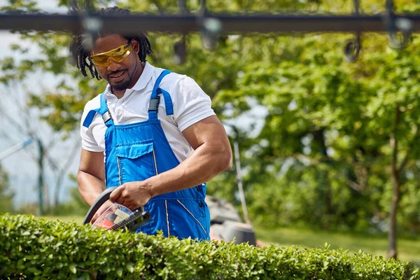 Afro American Tukang Kebun Saat Trims Pagar Tanaman Dengan Hedge — Stok Foto