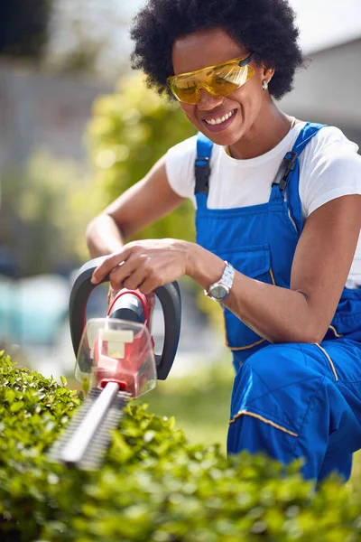 Afro American Woman She Expertly Trims Hedges Using Hedge Trimmer Stock Image