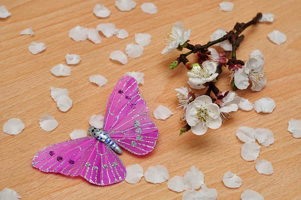 Άνθη Βερίκοκων Που Επιδεικνύονται Μια Τεχνητή Μεταξωτή Πεταλούδα — Φωτογραφία Αρχείου