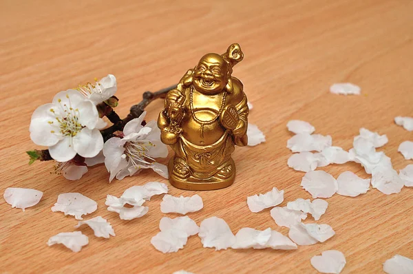 Abrikozenbloesems Tentoongesteld Met Een Klein Boeddha Standbeeld — Stockfoto