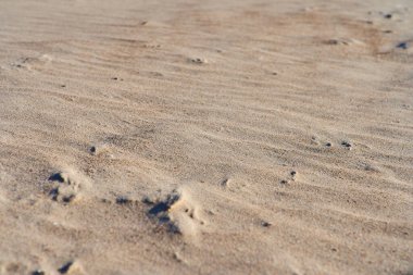 Güzel turuncu kum ve aşınma izleri var. Seçici odak