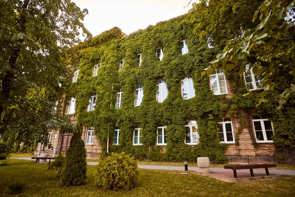 stock image Grodno, Belarus - June 12, 2019 - Building of a financial institute with ivy in Grodno