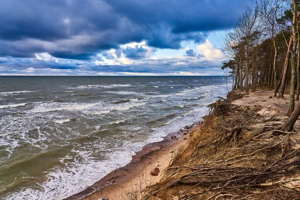 Szlak Przyrodniczy Cap Holendrów Litwie Miejsce Stromym Urwiskiem Wybrzeżu Morza — Zdjęcie stockowe