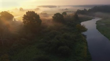 Nehirli genç bir çayırda sisli bir sabah. Doğal doğa.