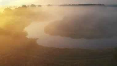 Nehirli genç bir çayırda sisli bir sabah. Doğa doğal formunda.