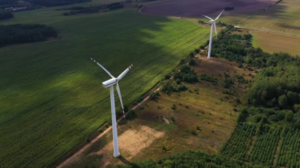 Parque Eólico Que Genera Energía Verde Turbinas Eólicas Grandes Con — Vídeos de Stock