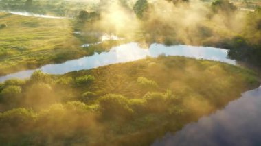 Sis içinde inanılmaz ıslak çayırlar. Güneş nehirden doğuyor.
