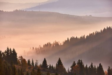 Avrupa 'nın güzel sonbahar manzarası. Sonbaharda Avrupa doğası
