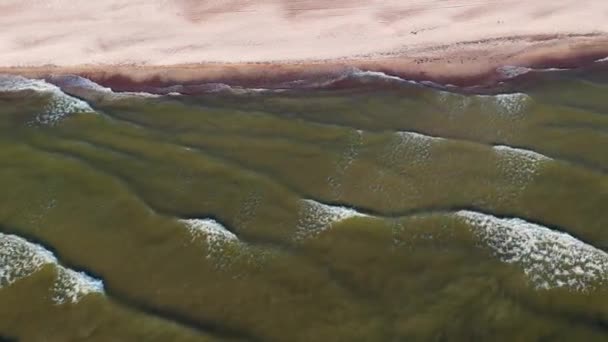 Widok Wybrzeże Morza Zieloną Wodą Lecie — Wideo stockowe