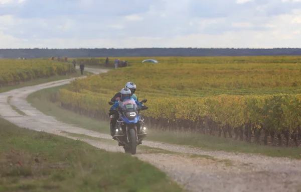 Noizay France Οκτωβρίου 2020 Επίσημο Ποδήλατο Στους Σκονισμένους Αμπελώνες Κατά — Φωτογραφία Αρχείου