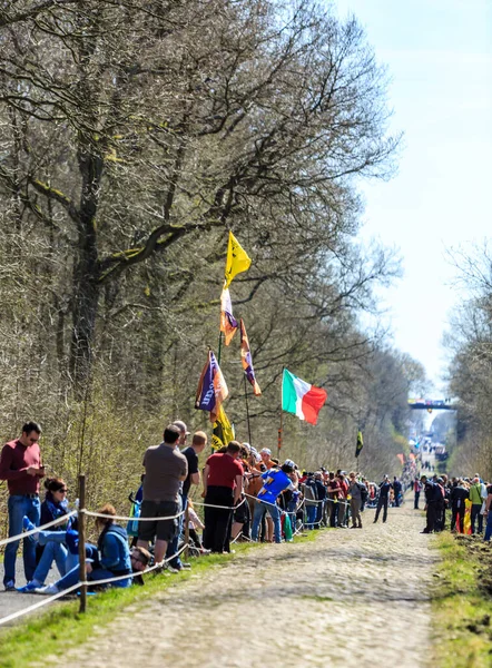 2015年4月12日 ルーベ サイクルレース中に自転車を通過する前に 有名な舗装分野のペロトンを待っている観客 アーレンベルクギャップ トゥルーアーレンベルク — ストック写真