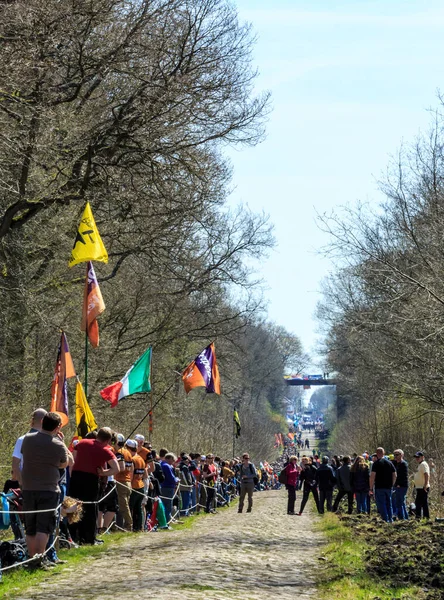Wallers Arenberg France April 2015 Spectators Waiting Peloton Famous Paved — 스톡 사진