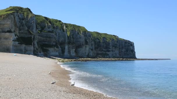 Fransa Normandiya Daki Tilleul Plajı — Stok video