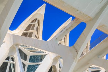 Valencia, İspanya - 2 Kasım 2022: Valencia, İspanya 'daki Bilim ve Sanat Müzesinin Mimari Detayları.