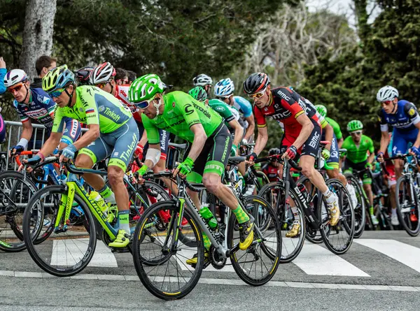Barcelona, İspanya - March27, 2016: Peloton Volta Ciclista sırasında Bracelona İspanya, Montjuic zirvesine giden yolda bir Catalunya 27 Mart 2016 üzerinde sürme..