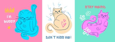 Duygulu Komik Kediler Renkli El Çizimi Tuhaf İfadeleri ve Neşeli Özgeçmişleri Olan Kedi Karakterleri