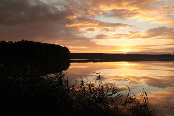 Восход Солнца Над Озером Облачный Осенний День — стоковое фото