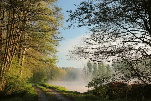Camino Tierra Borde Estanque Día Primavera Brumoso Durante Amanecer Polonia — Foto de Stock