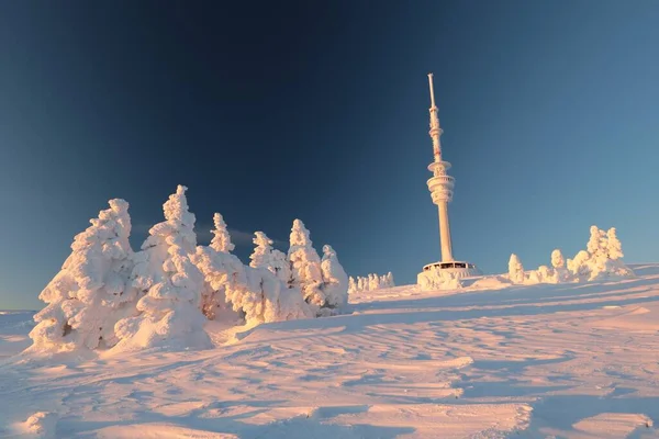 冬天的风景 日出时捷克共和国的山顶 免版税图库照片