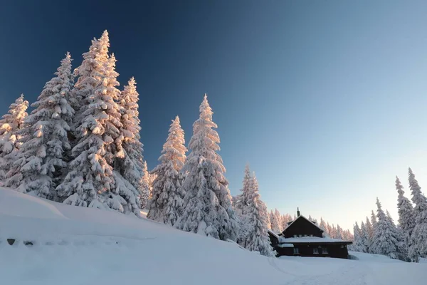 Vinterlandskap Snötäckta Granar Toppen Berget Stockfoto