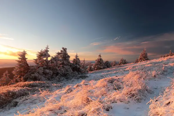 Vinterlandskap Toppen Berget Tjeckien Soluppgången Stockbild