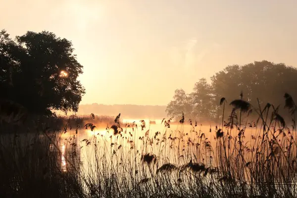 早春の湖の上の日の出 ストック画像