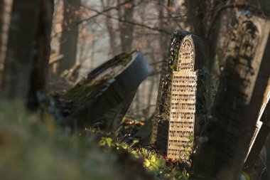 Polonya 'nın güneyindeki Biaa kasabası yakınlarındaki eski Yahudi mezarlığı (2. Dünya Savaşından önce kasaba Almandı ve adı Zlz idi.).