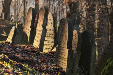 Old Jewish cemetery in southern Poland near the town of Biaa (before World War II the town was German and called Zlz). clipart