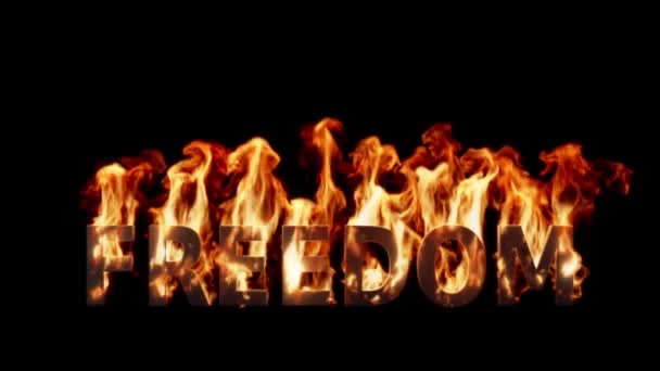 Слова Свободи Realist Fire Чорним Тлом — стокове відео