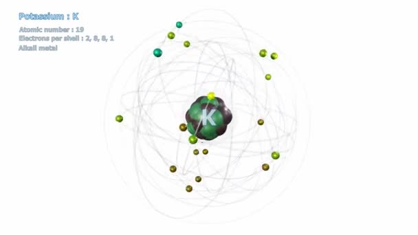 Átomo Potasio Con Electrones Rotación Orbital Infinita Con Fondo Blanco — Vídeo de stock