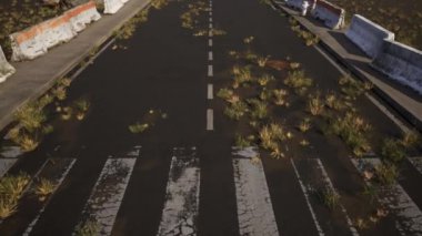 Terk edilmiş bir yolun merkezinden, çölün içinde kuru çim tarlaları olan yüksek kalite çekim yapan yumuşak forvet.