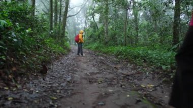 Bir insan ormanda bir patikada yürüyor. Sarı bir ceket giyiyor ve sırt çantası taşıyor. Orman yemyeşil, yol da çamurlu.