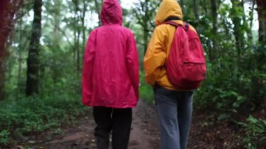 Ağaçlar ve çalılarla dolu bir orman yolu.