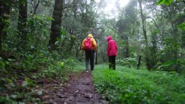 Yağmur giysileri içinde ormanda yürüyen iki kişi.