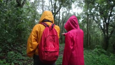 İki kişi ormanda yürüyor, biri sarı bir ceket giyiyor. Orman yemyeşil ve yemyeşil, içinden geçen bir yol var.